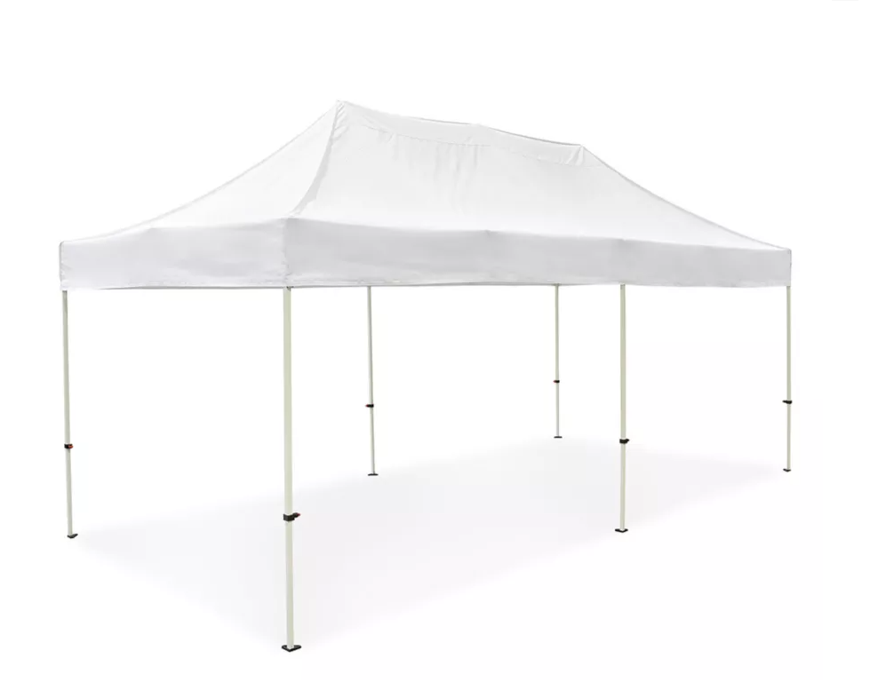 20x30 pole tent